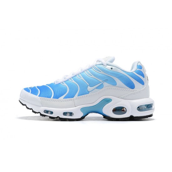 Nike Air Max Plus Tn Modrý Bílý Pánské Tenisky 852630-411