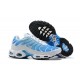 Nike Air Max Plus Tn Modrý Bílý Pánské Tenisky 852630-411