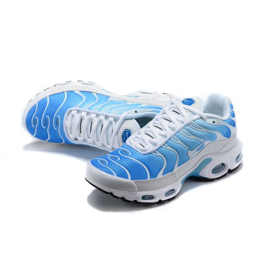 Nike Air Max Plus Tn Modrý Bílý Pánské Tenisky 852630-411