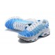 Nike Air Max Plus Tn Modrý Bílý Pánské Tenisky 852630-411