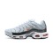 Nike Air Max Plus Tn Crater Šedá Pánské Tenisky DA1500-100