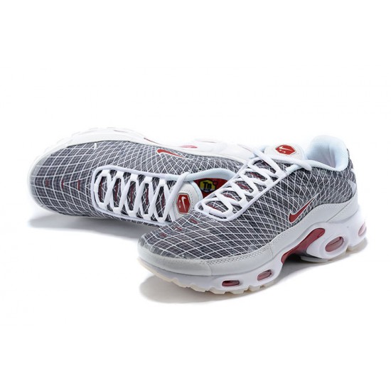 Nike Air Max Plus Tn Šedá a Bílý Pánské Tenisky 