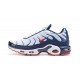 Nike Air Max Plus Tn QS Bílý Modrý a Červený Pánské Tenisky 