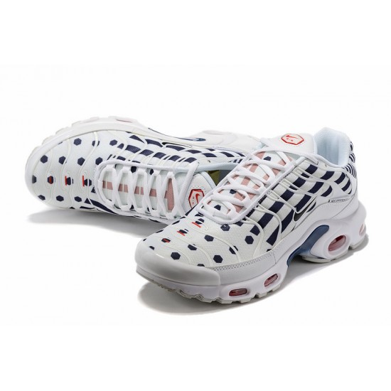 Nike Air Max Plus Tn Bílý Modrý Pánské Tenisky CI9103-100